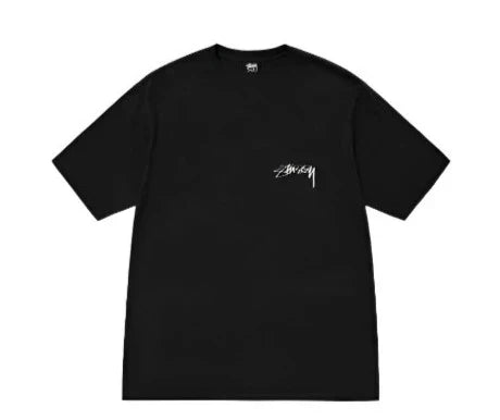 Stussy T-shirt Arachnid Pigment | חולצת סטוסי