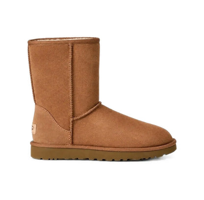 Ugg Boots Brown