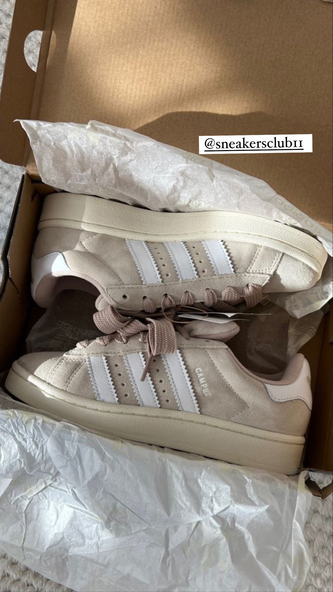 Adidas campus wonder white