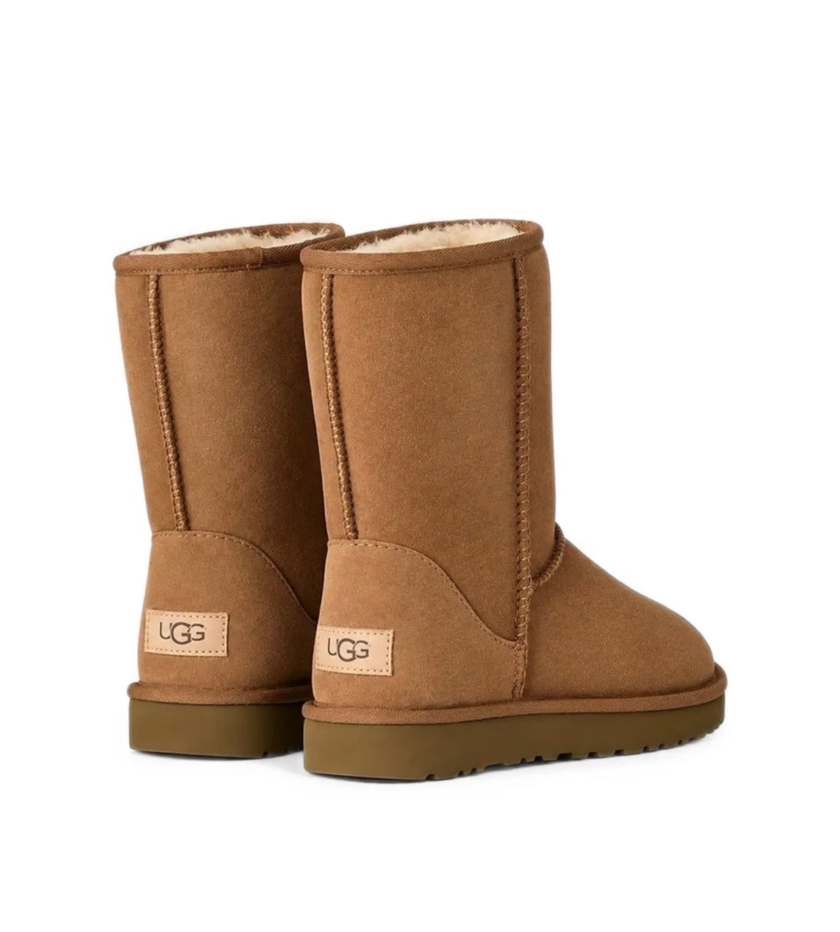 Ugg Boots Brown